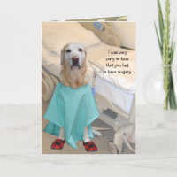 Funny Get Well Labrador in Hospital Gown