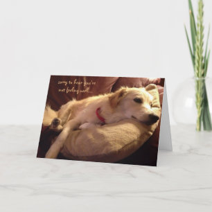 Funny Get Well, Niedlich Sleeping Hund Träume Karte