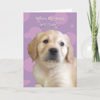 Funny Get Well / Thinking Your Card Karte