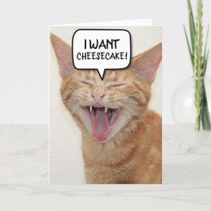 FUNNY GINGER CAT GEBURTSTAGSKARTE ICH WOLL-CHEESEC DANKESKARTE