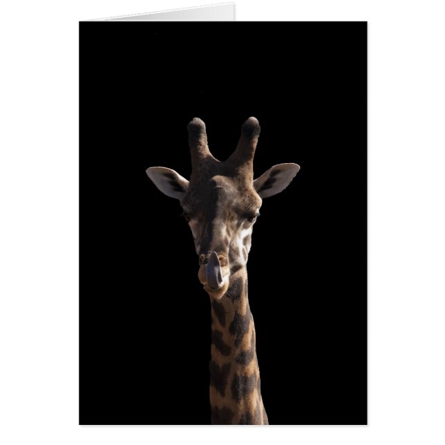 Funny Giraffe (Vorne)