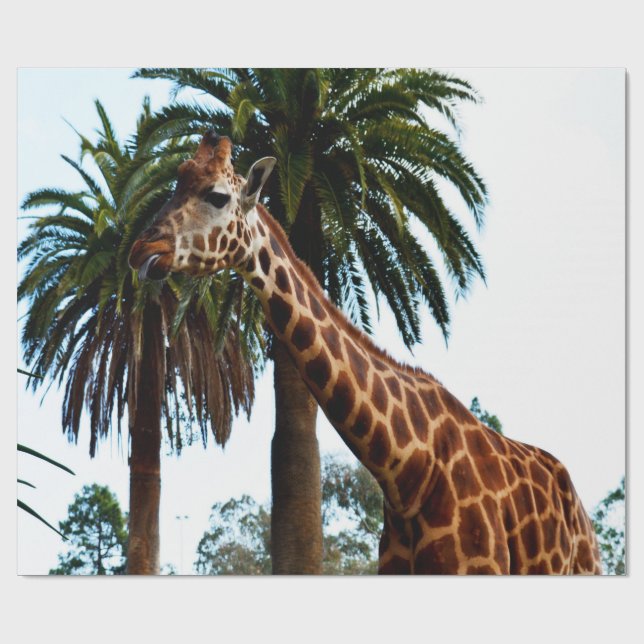 Funny Giraffe, der eine Himbeere gibt, Geschenkpapier (Flach)