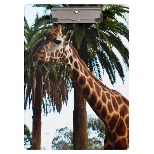 Funny Giraffe, der eine Himbeere gibt, Klemmbrett (Vorderseite)