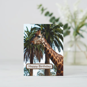 Funny Giraffe, der eine Himbeere gibt, Postkarte