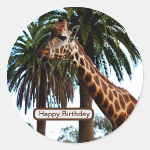 Funny Giraffe, der eine Himbeere gibt, Runder Aufkleber