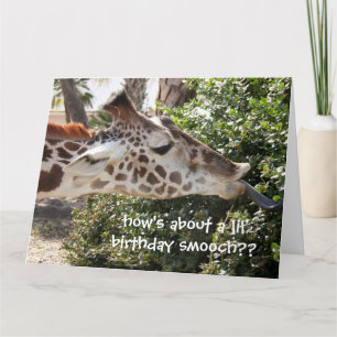 Funny Giraffe Geburtstagskarte, Geburtstagsmooch!! Karte