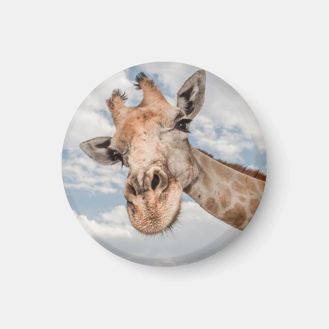 Funny Giraffe Magnet (Vorne)