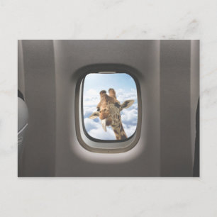 Funny Giraffe Postkarte