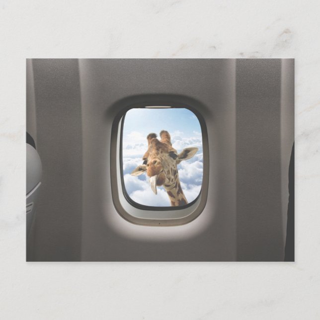 Funny Giraffe Postkarte (Vorderseite)