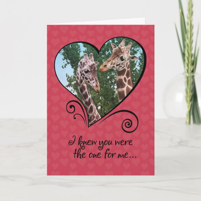 Funny Giraffs Valentinstag Card Feiertagskarte (Vorderseite)