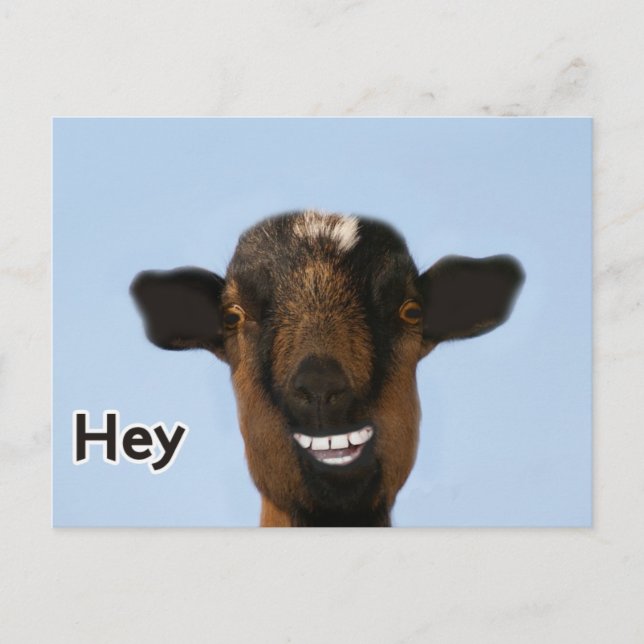Funny Goat Meme lächeln wirklich große Postkarte (Vorderseite)
