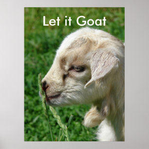 Funny Goat Parody, Niedliches Ziegenkid Poster