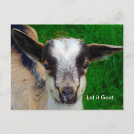 Funny Goat Parody Postcard Postkarte