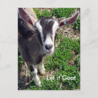 Funny Goat Parody