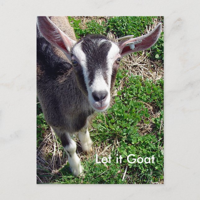 Funny Goat Parody Postkarte (Vorderseite)
