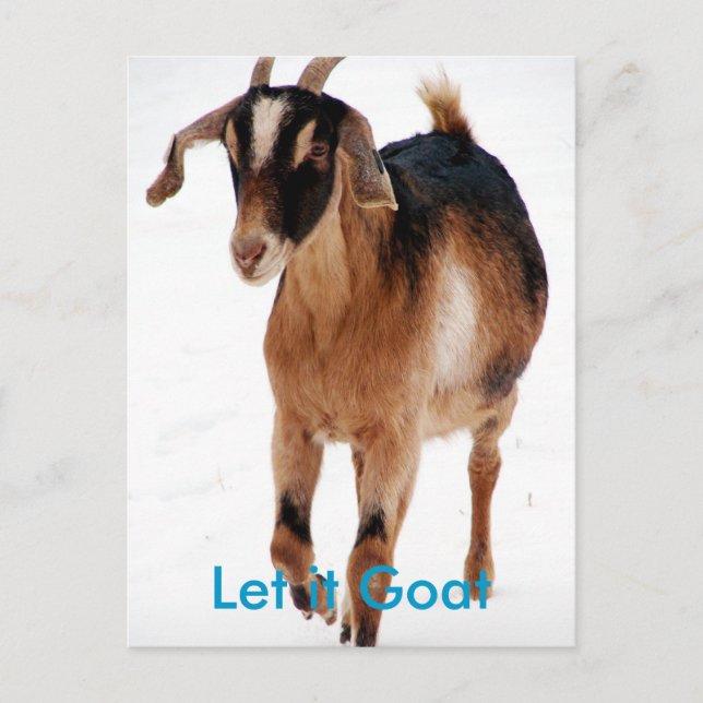 Funny Goat Parody Postkarte (Vorderseite)