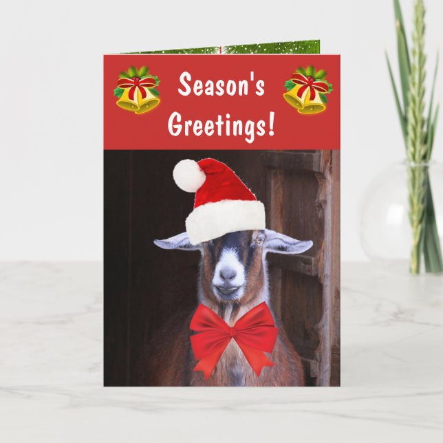 Funny Goat Season's Greetings Feiertagskarte (Vorderseite)