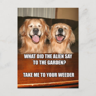 Funny Golden Retriever Alien Joke Meme Postkarte