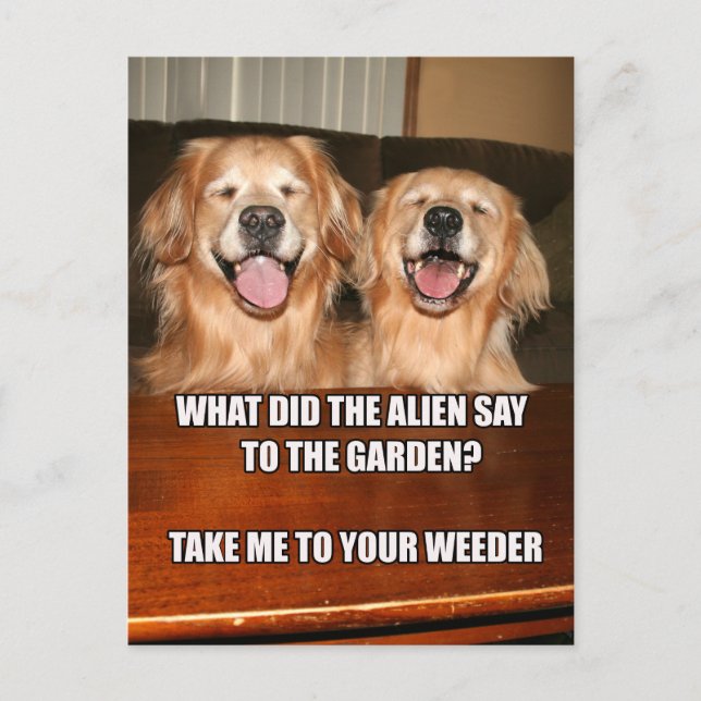 Funny Golden Retriever Alien Joke Meme Postkarte (Vorderseite)