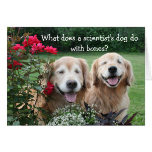 Funny Golden Retriever Barium Wissenschaftlicher W