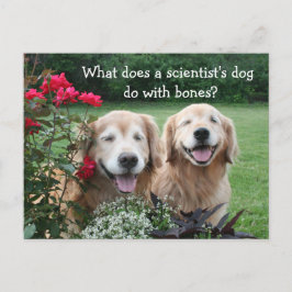 Funny Golden Retriever Barium Wissenschaftlicher W Postkarte