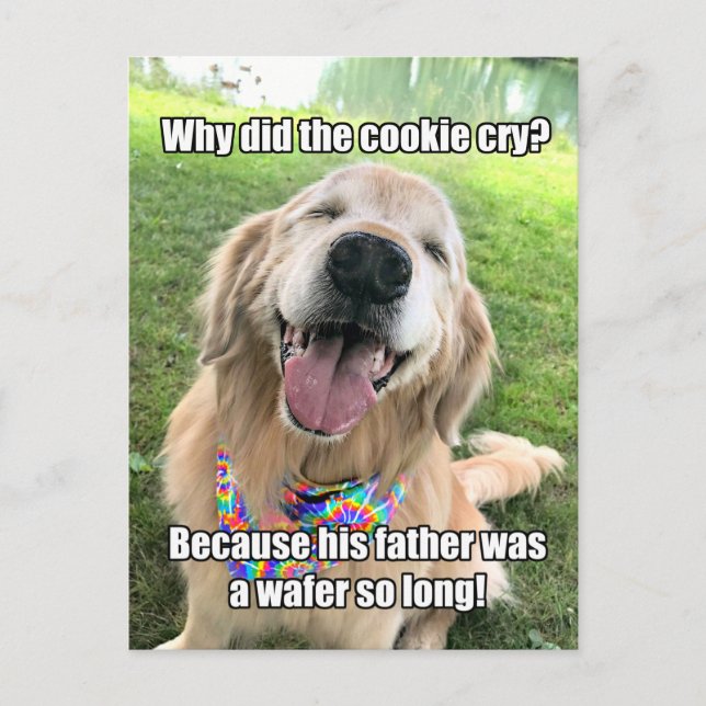 Funny Golden Retriever Cookie Joke Meme Postcard Postkarte (Vorderseite)