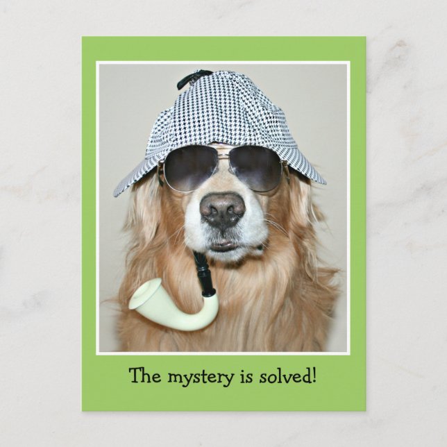 Funny Golden Retriever Detektiv Hund Geburtstag Postkarte (Vorderseite)