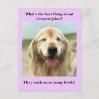 Funny Golden Retriever Dog Elevator Joke