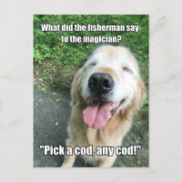 Funny Golden Retriever Fisherman Joke Meme