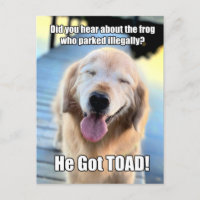 Funny Golden Retriever Frosch Joke Meme
