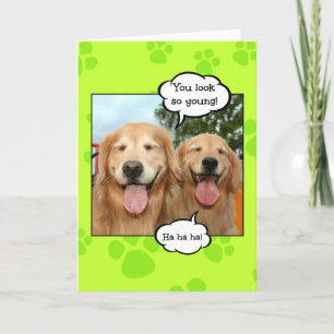 Funny Golden Retriever Golden Oldie Birthday Karte