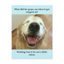 Funny Golden Retriever Gran Joke Meme