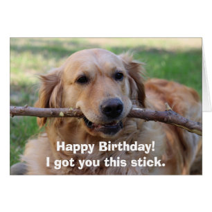 Funny Golden Retriever Hunde Humor Happy Birthday