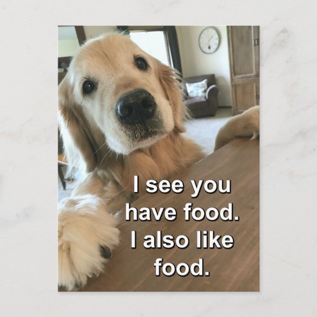 Funny Golden Retriever Ich sehe, du hast Essen Mem Postkarte (Vorderseite)