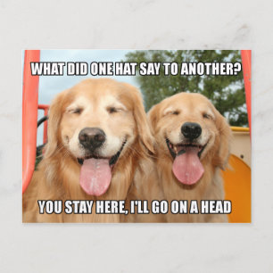 Funny Golden Retriever Joke Meme Postkarte