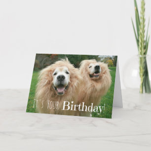 Funny Golden Retriever Lion Hunde Geburtstag Karte