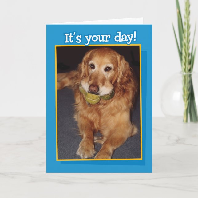 Funny Golden Retriever mit Balls Birthday Card Karte (Vorderseite)