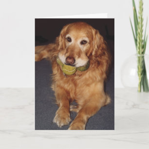 Funny Golden Retriever mit Balls Birthday Card Karte