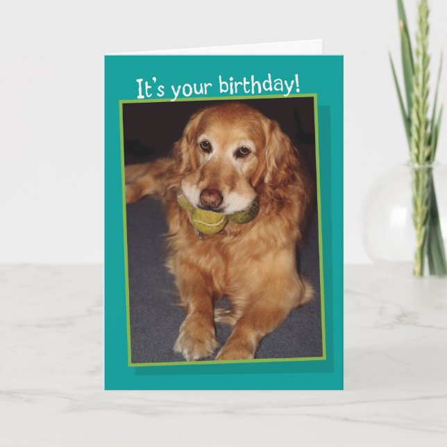 Funny Golden Retriever mit Balls Birthday Card Karte (Vorderseite)