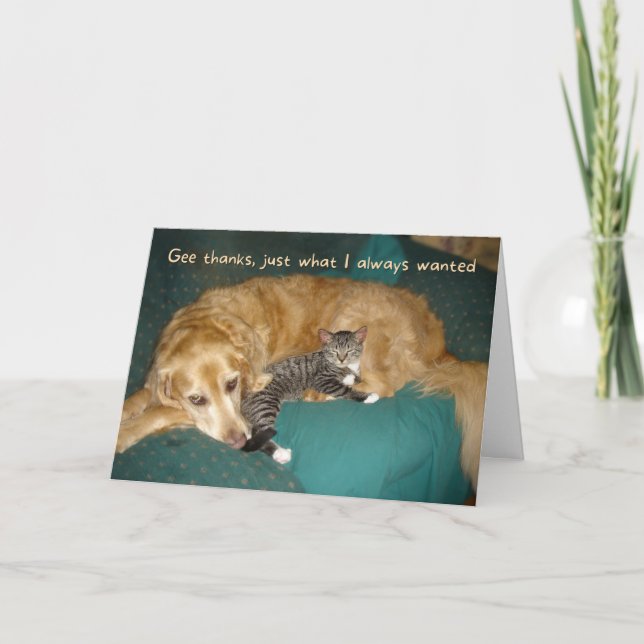Funny Golden Retriever mit Kitten Geburtstag Karte (Vorderseite)
