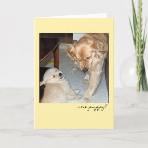 Funny Golden Retriever New Puppy Card Karte