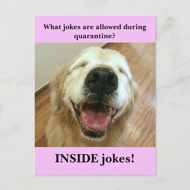 Funny Golden Retriever Quarantine Joke Meme Postkarte (Vorderseite)