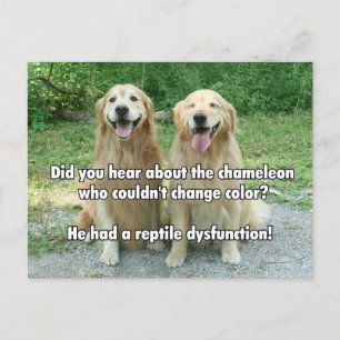 Funny Golden Retriever Reptile Dysfunktion Joke Postkarte