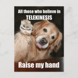 Funny Golden Retriever Telekinesis Joke Postcard Postkarte