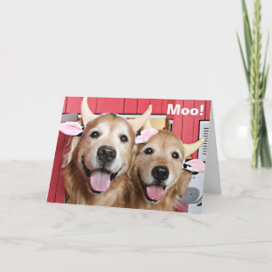 Funny Golden Retrievers in Costumes Halloween Karte