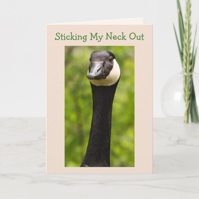Funny Goose Joke Birthday Card Karte (Vorderseite)
