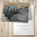 Funny Gorilla Birthday Karte<br><div class="desc">Ein großer schwarzer Gorilla zieht sich an einen Rock mit einem erstaunlichen Blick auf sein Gesicht vor dieser lustigen Geburtstagskarte. Der Text in Weiß sagt: "Es ist dein Geburtstag?". Im Inneren steht: "Ich werde versuchen, jeden Urschrei zu unterdrücken" und dann in kleinerem kursiven Text: "Hoffe, es ist ein glücklicher!" Der...</div>
