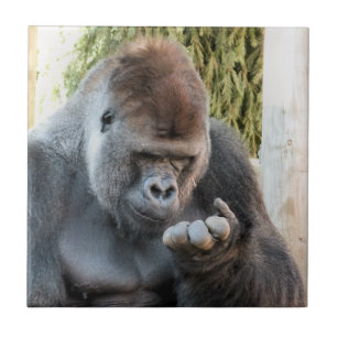 FUNNY GORILLA FLIESE