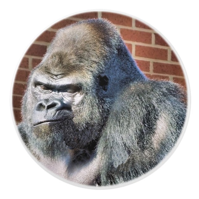 FUNNY GORILLA KERAMIKKNAUF (Vorderseite)