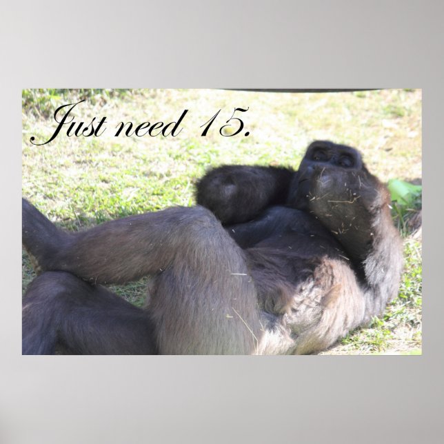 Funny Gorilla Poster (Vorne)